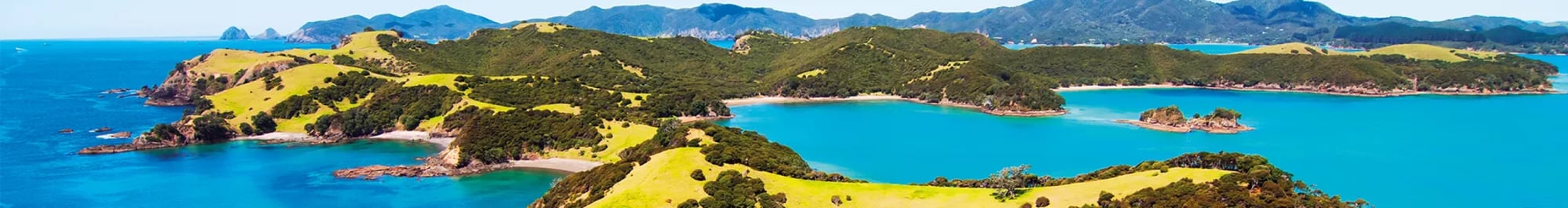 winterless-north-tour-bay-of-islands